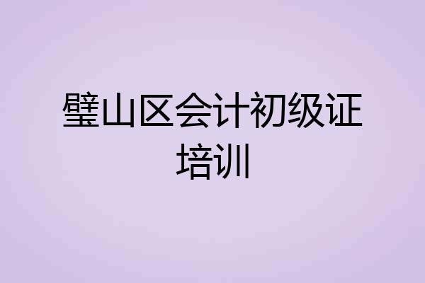 璧山区会计初级证培训