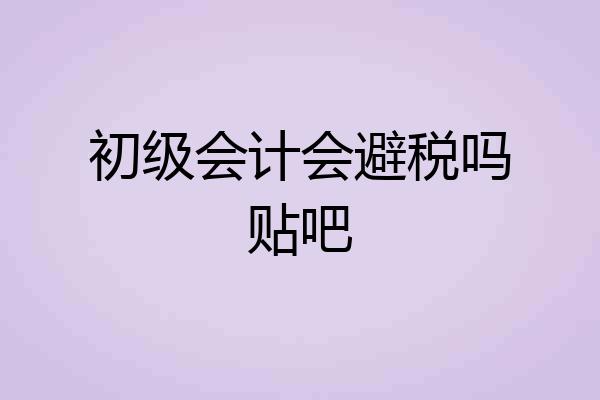 初级会计会避税吗贴吧