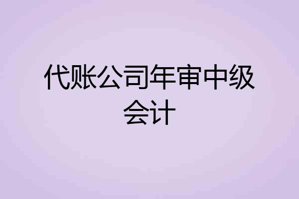 代账公司年审中级会计