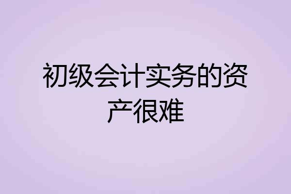 初级会计实务的资产很难