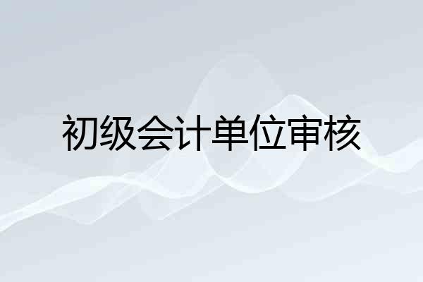 初级会计单位审核