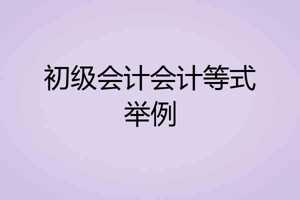 初级会计会计等式举例