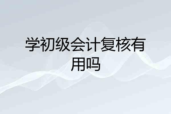 学初级会计复核有用吗