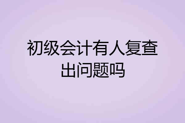 初级会计有人复查出问题吗