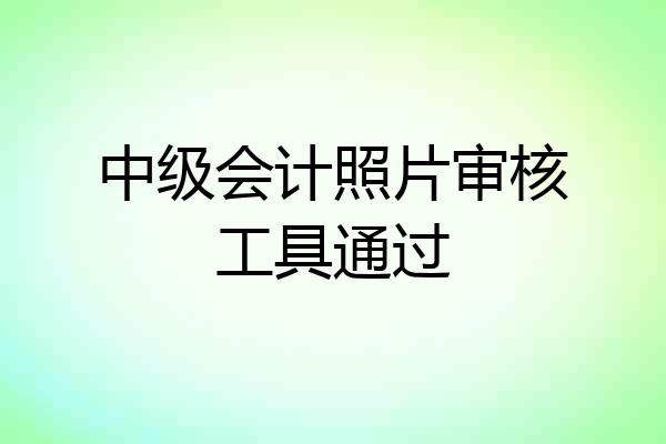 中级会计照片审核工具通过