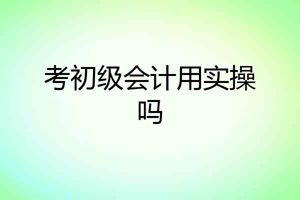 考初级会计用实操吗