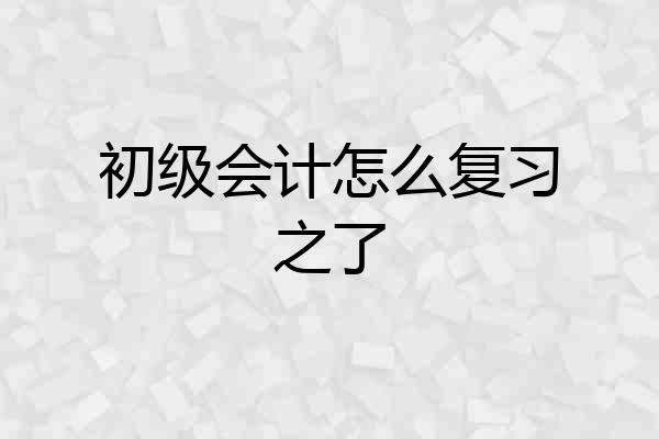 初级会计怎么复习之了