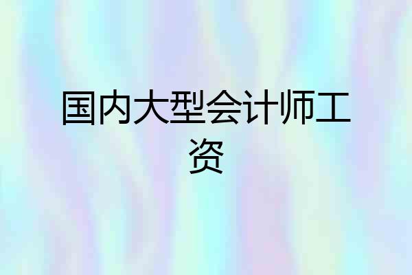 国内大型会计师工资