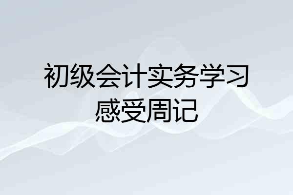 初级会计实务学习感受周记