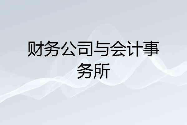 财务公司与会计事务所