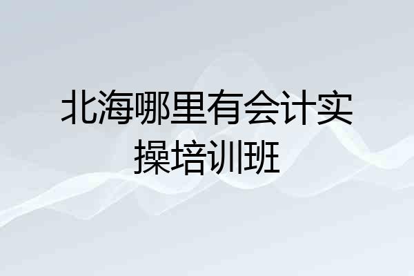 北海哪里有会计实操培训班