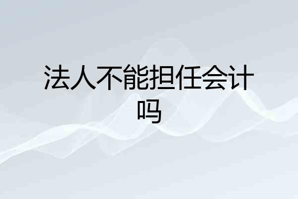 法人不能担任会计吗
