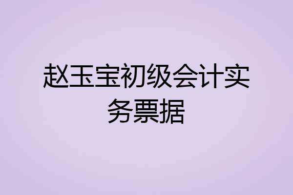 赵玉宝初级会计实务票据