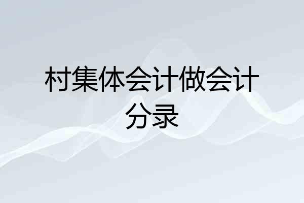 村集体会计做会计分录