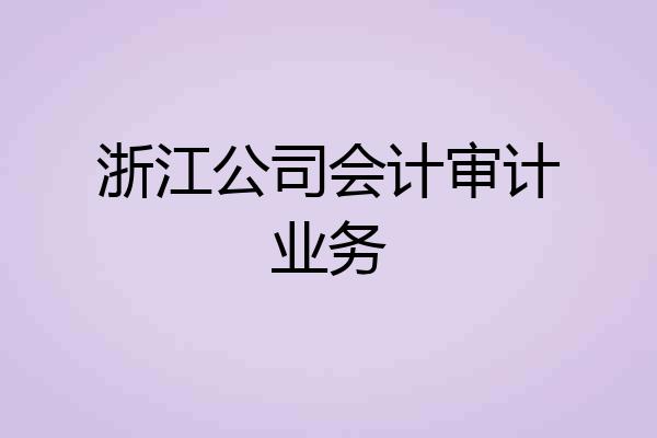 浙江公司会计审计业务