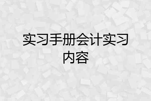实习手册会计实习内容
