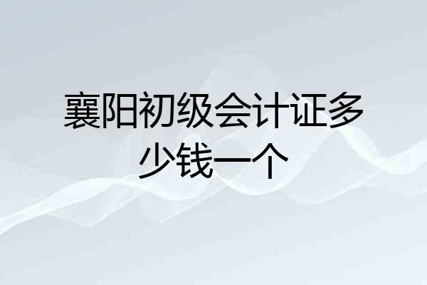 襄阳初级会计证多少钱一个