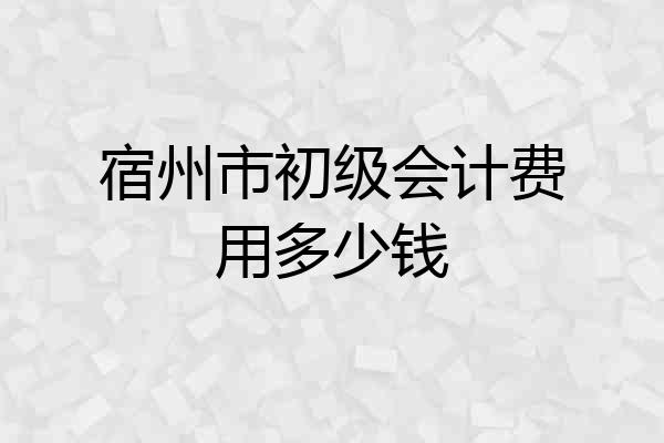 宿州市初级会计费用多少钱