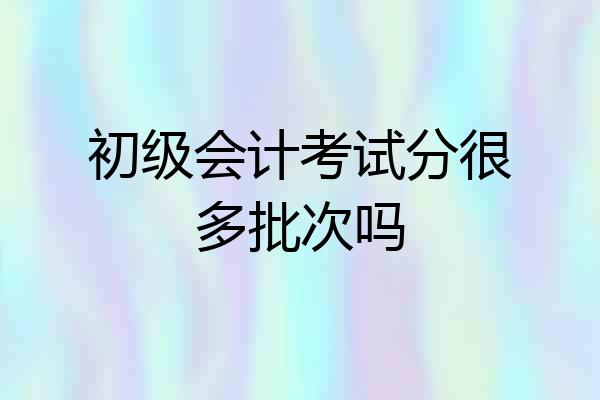 初级会计考试分很多批次吗