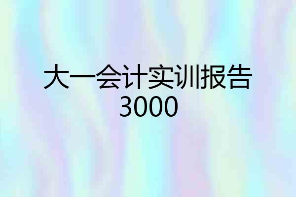 大一会计实训报告3000