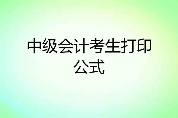 中级会计考生打印公式
