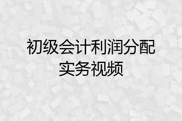 初级会计利润分配实务视频