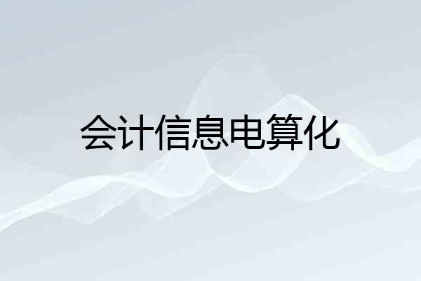 会计信息电算化