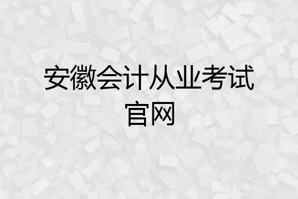 安徽会计从业考试官网