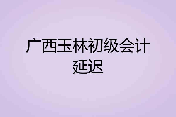 广西玉林初级会计延迟