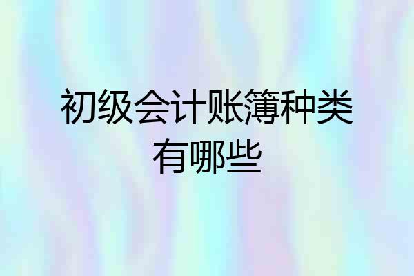 初级会计账簿种类有哪些