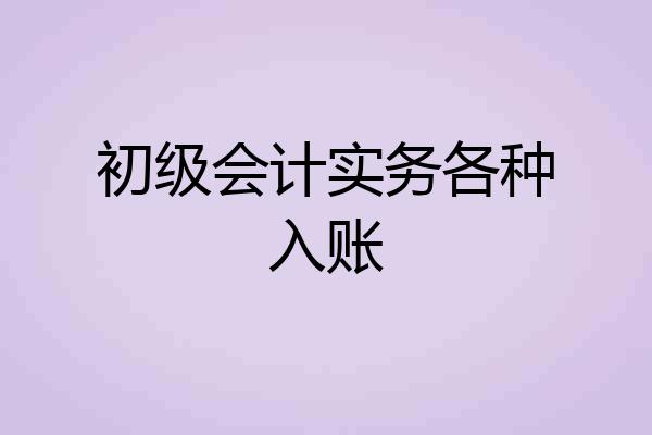 初级会计实务各种入账