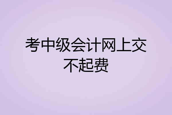 考中级会计网上交不起费