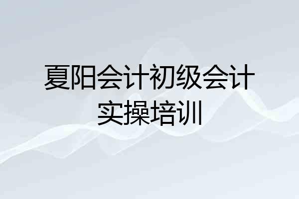 夏阳会计初级会计实操培训
