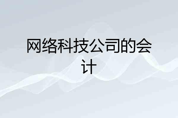 网络科技公司的会计