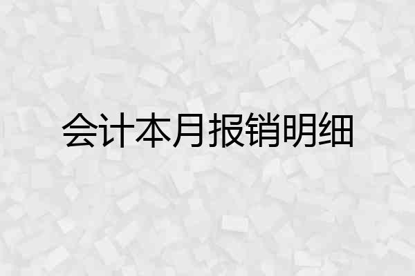 会计本月报销明细