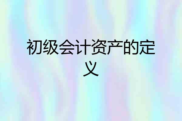 初级会计资产的定义