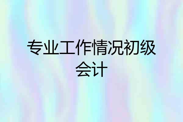 专业工作情况初级会计