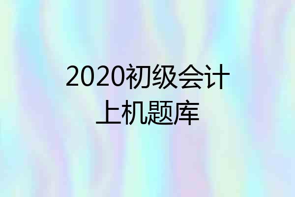 2020初级会计上机题库
