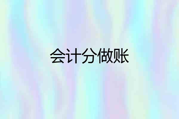 会计分做账