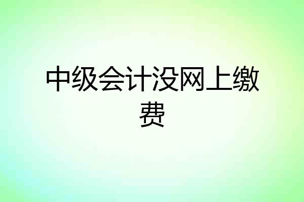 中级会计没网上缴费