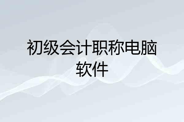 初级会计职称电脑软件