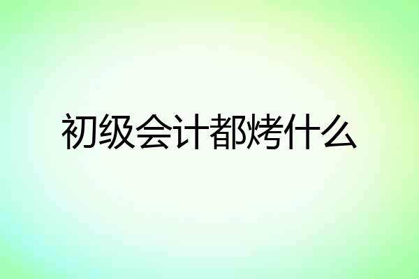 初级会计都烤什么