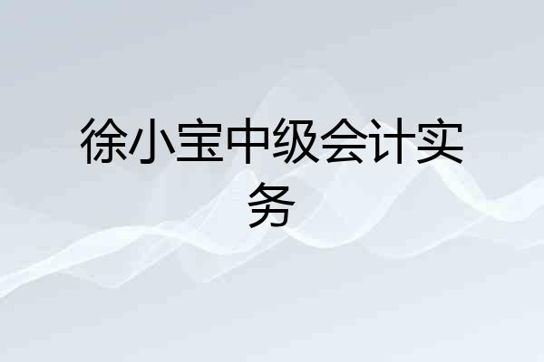 徐小宝中级会计实务