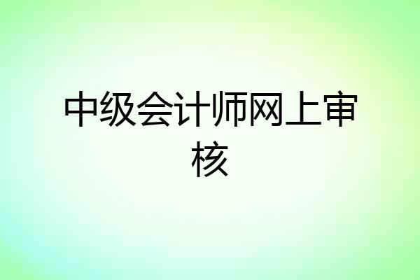 中级会计师网上审核