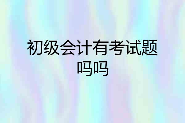 初级会计有考试题吗吗