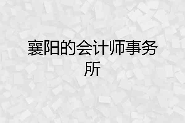 襄阳的会计师事务所