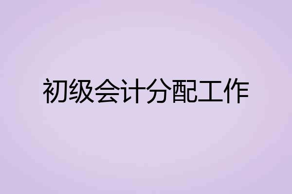 初级会计分配工作