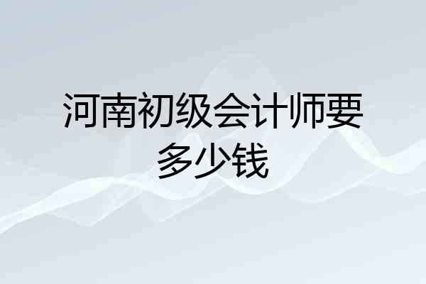 河南初级会计师要多少钱
