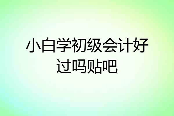 小白学初级会计好过吗贴吧