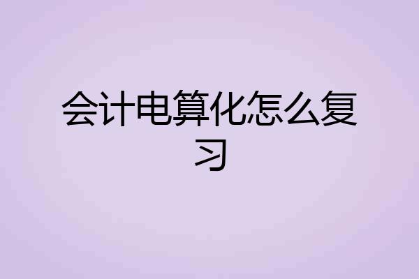 会计电算化怎么复习